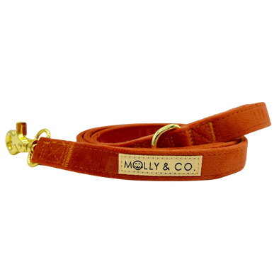 Tangerine Velvet - Dog Leash