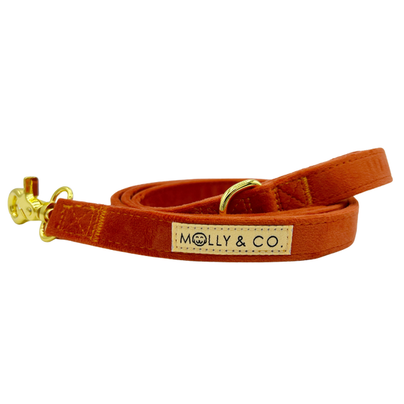 Tangerine Velvet - Dog Leash