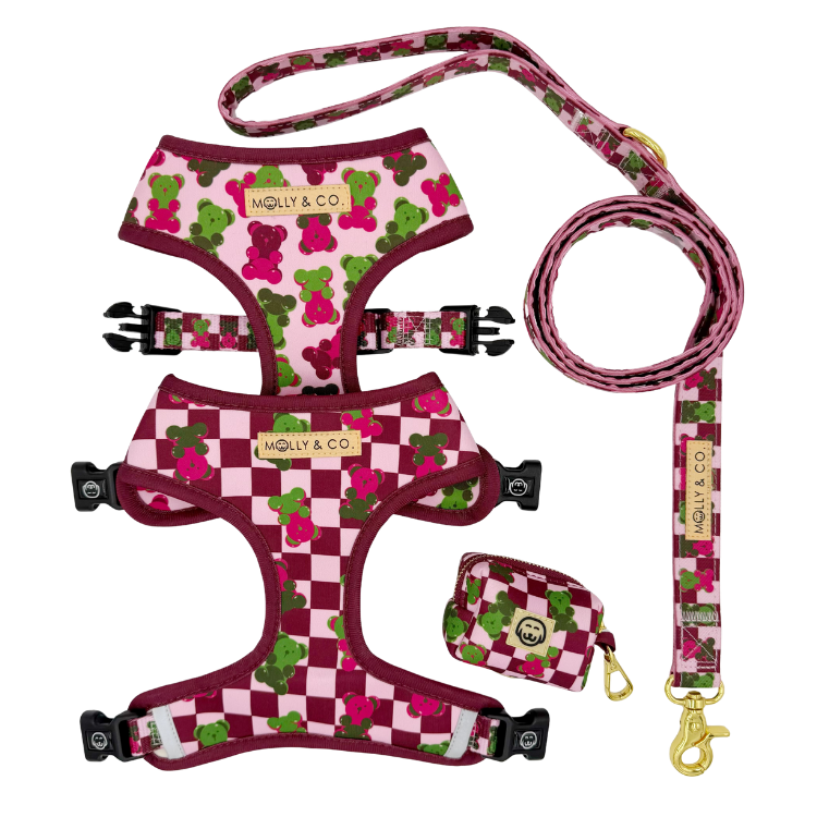 Gummy Bears - Walking Bundle