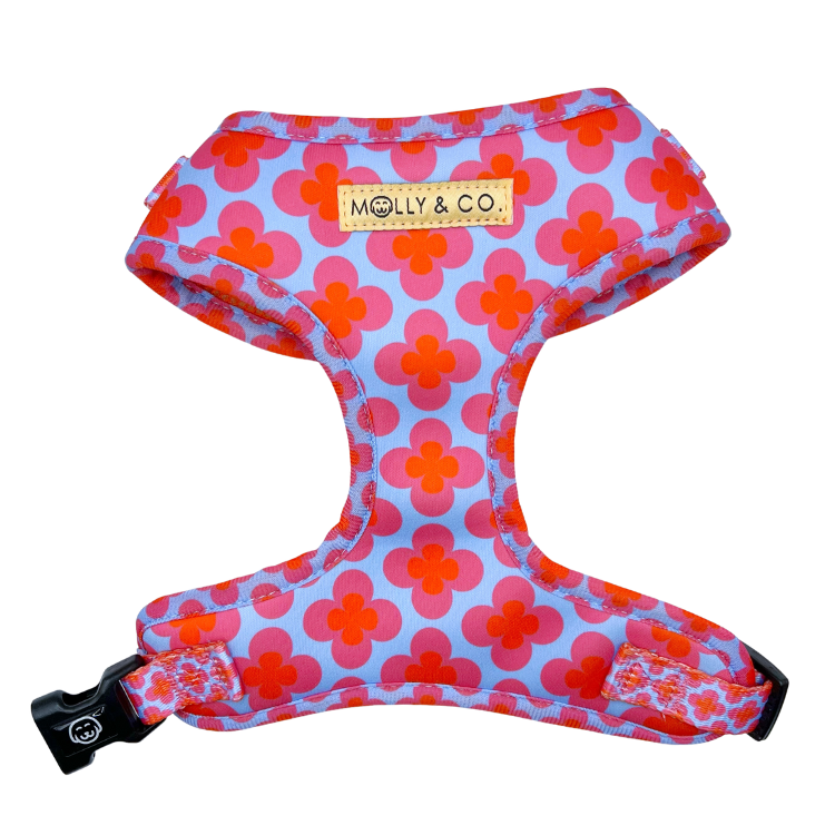 Venezia - Walking Bundle