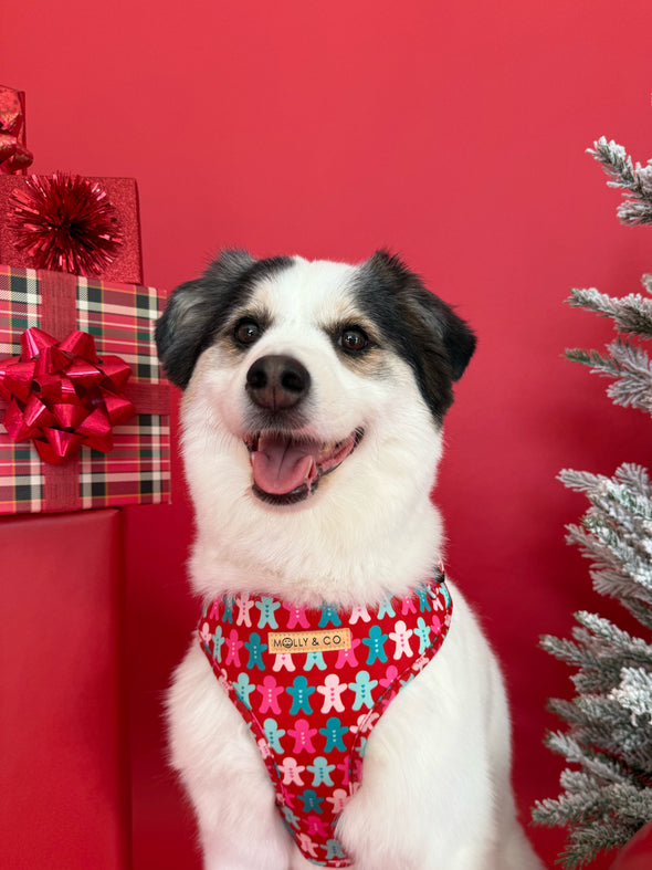 Gingerbread - Walking Bundle