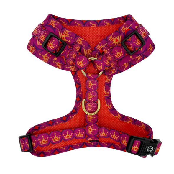 Royal Queen - Adjustable Dog Harness