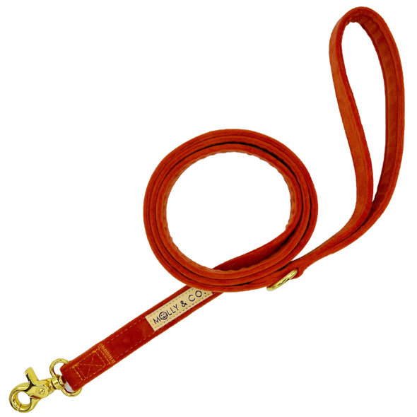 Tangerine Velvet - Dog Leash