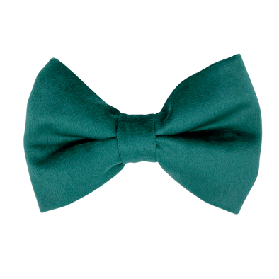 Emerald Velvet - Dog Bowtie