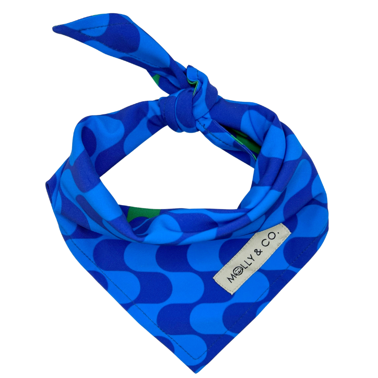 Forest - Reversible Dog Bandana