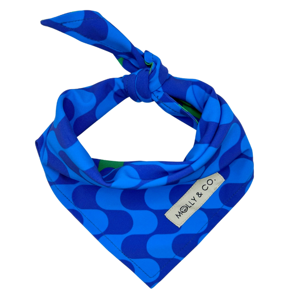 Forest - Reversible Dog Bandana