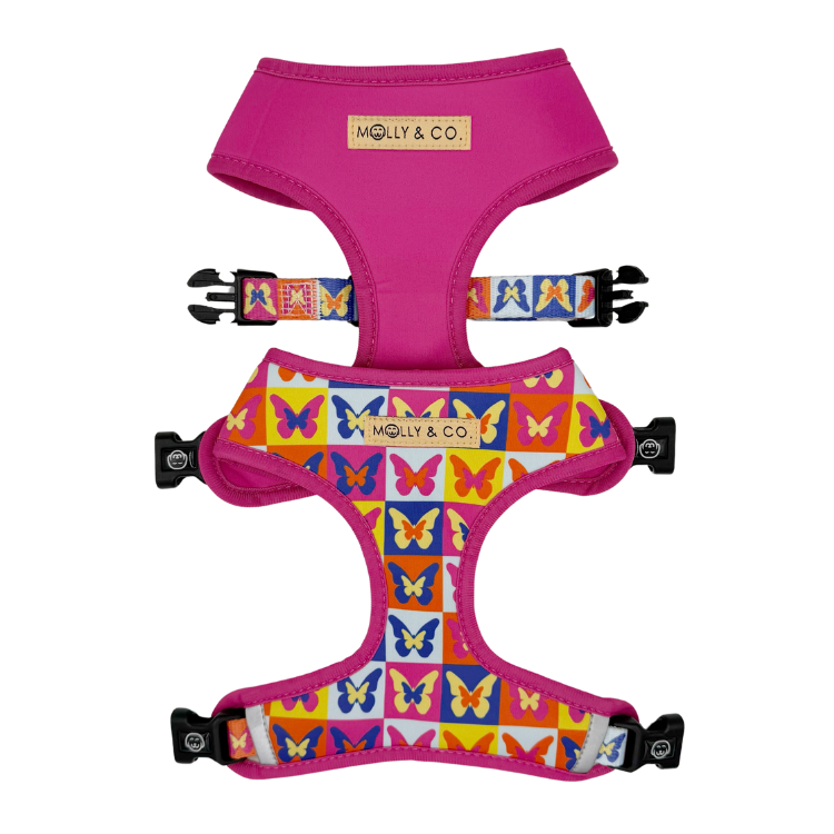 Mariposa - Reversible Dog Harness