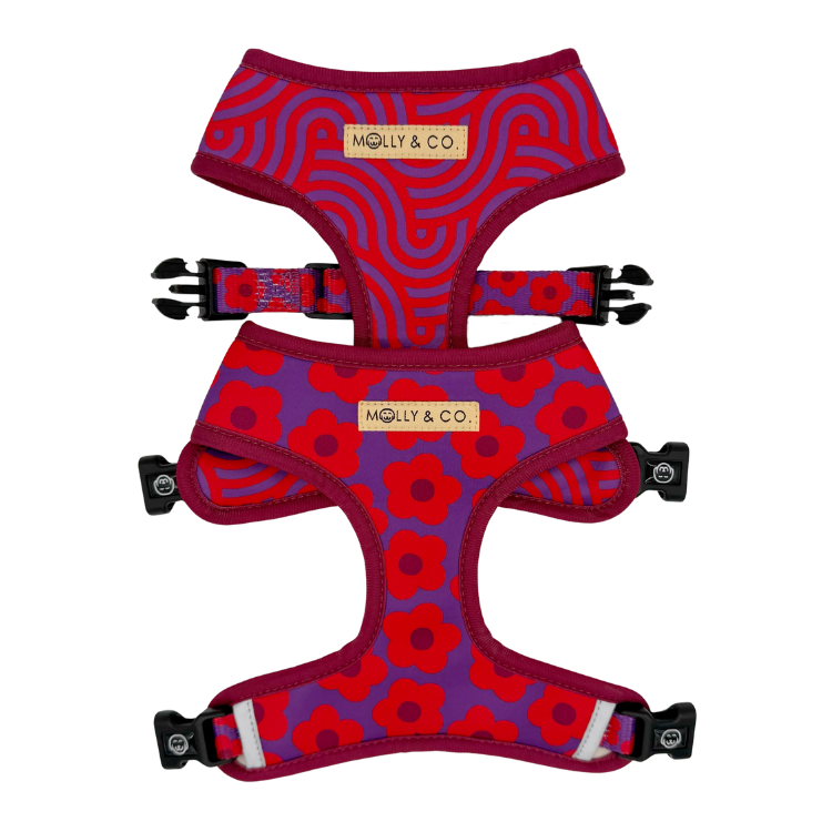 Mon Chéri - Reversible Dog Harness