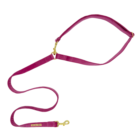 Velvet - Handsfree Dog Leash