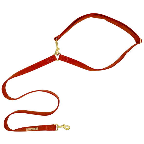 Velvet - Handsfree Dog Leash