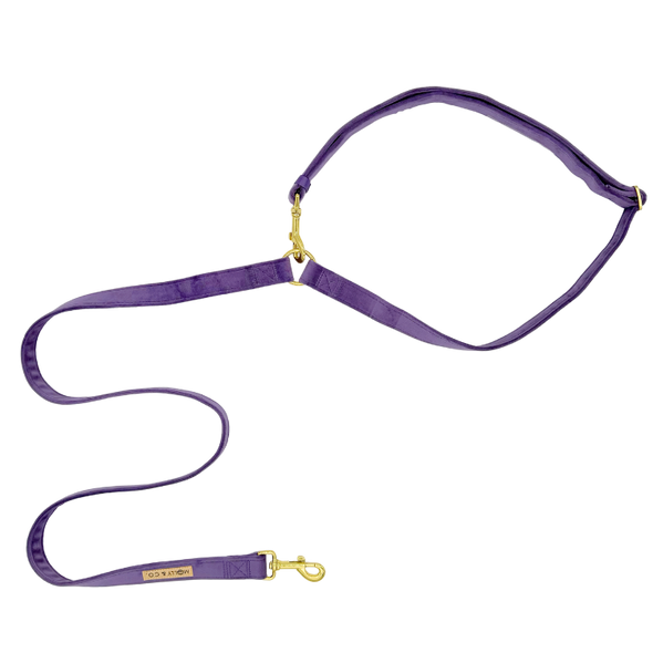 Velvet - Handsfree Dog Leash