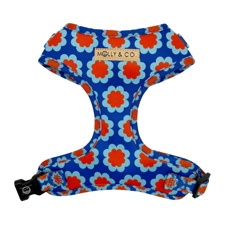 Sorrento - Adjustable Dog Harness