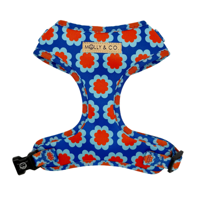 Sorrento - Adjustable Dog Harness