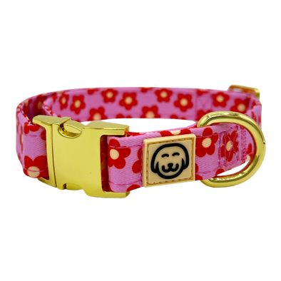 Wildflower - Dog Collar