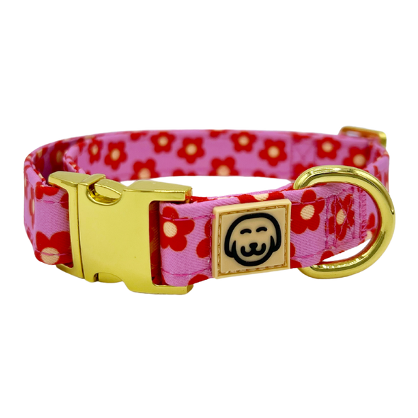 Wildflower - Dog Collar