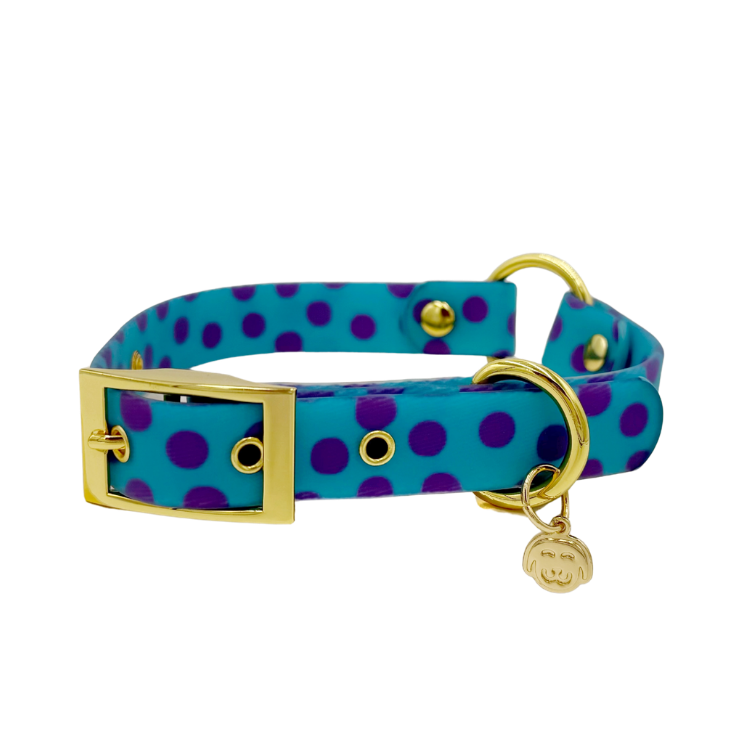 Supernova - Splashproof Dog Collar