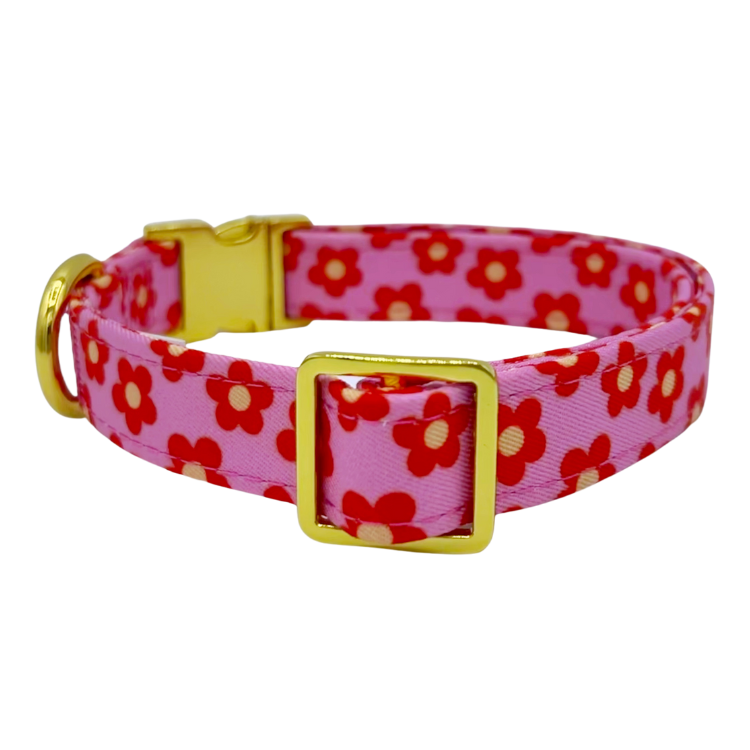 Wildflower - Dog Collar