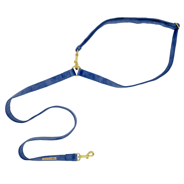 Velvet - Handsfree Dog Leash