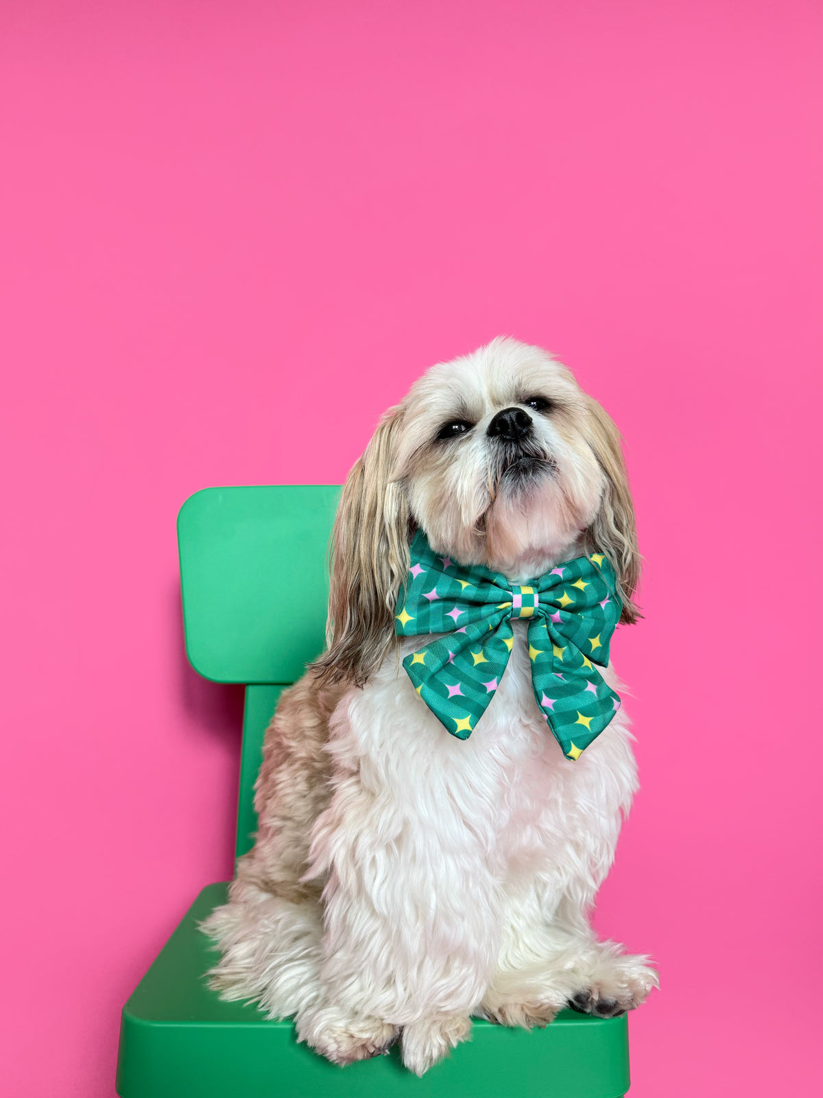 Misty - Dog Sailor Bowtie