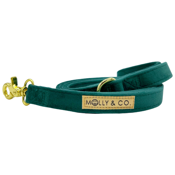 Emerald Velvet - Dog Leash