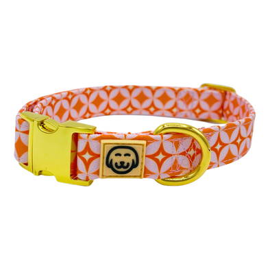 Glam Pup - Dog Collar - FINAL SALE