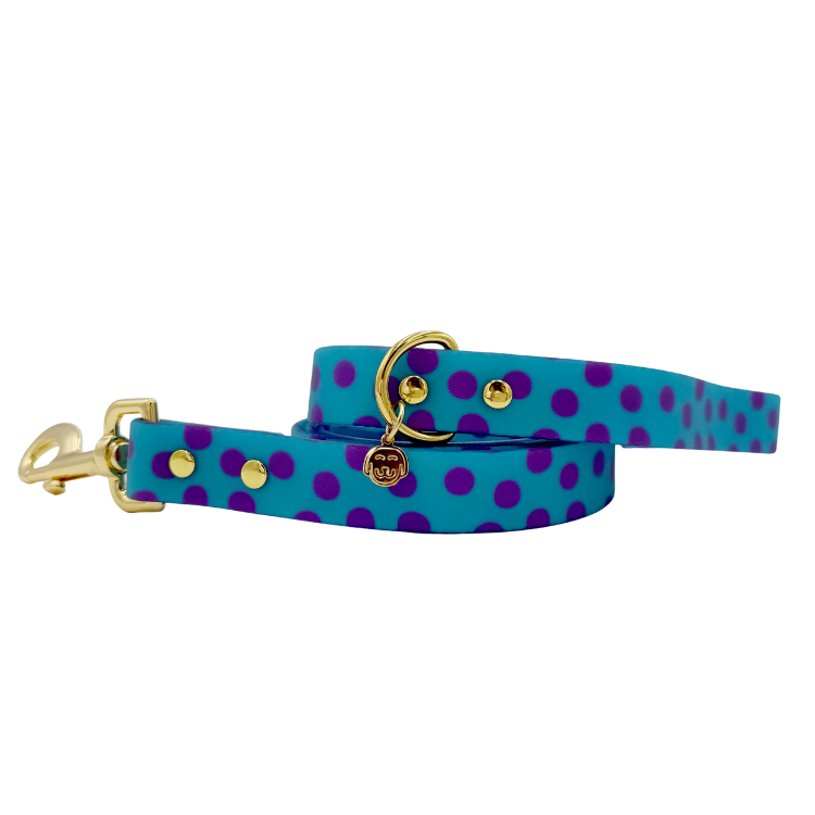 Supernova - Splashproof Dog Leash