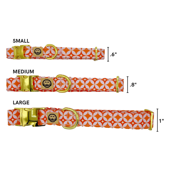 Glam Pup - Dog Collar - FINAL SALE