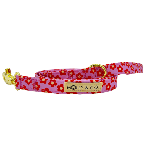 Wildflower - Dog Leash