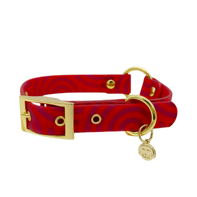 Mon Chéri - Splashproof Dog Collar