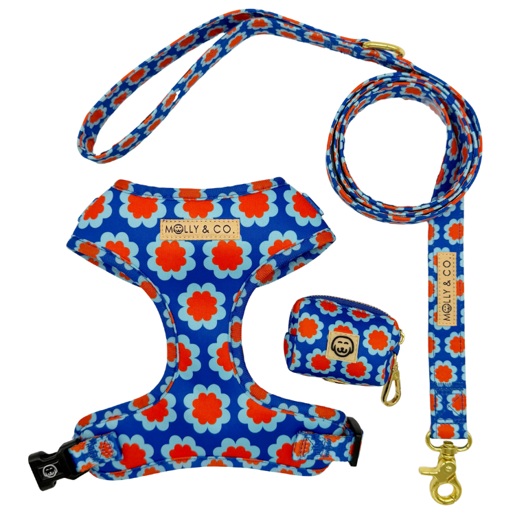 Sorrento - Walking Bundle