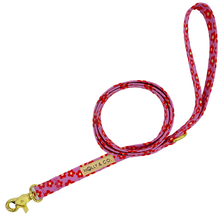 Wildflower - Dog Leash