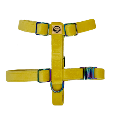 Sunshine Velvet - Adjustable Strap Dog Harness