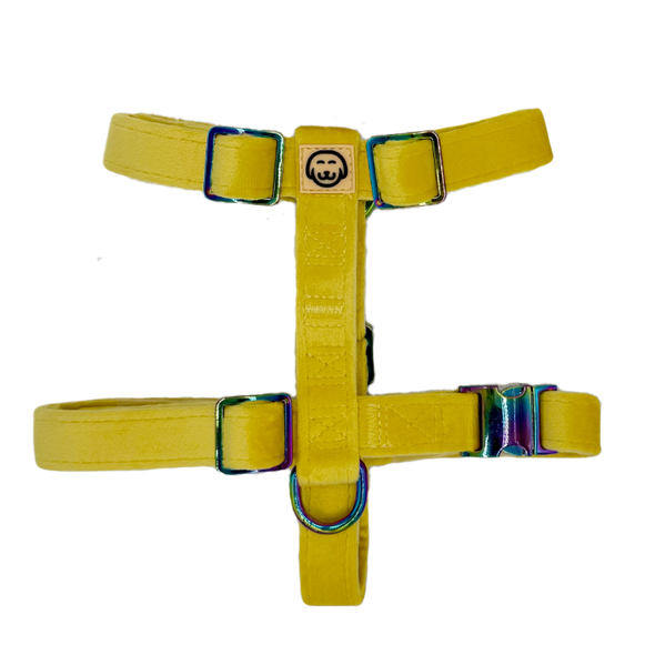 Sunshine Velvet - Adjustable Strap Dog Harness