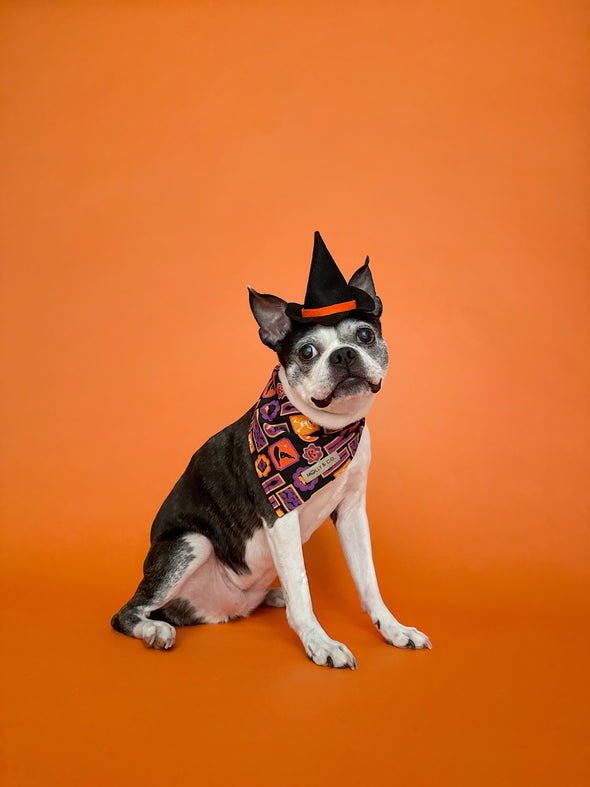 Stay Wicked - Reversible Dog Bandana