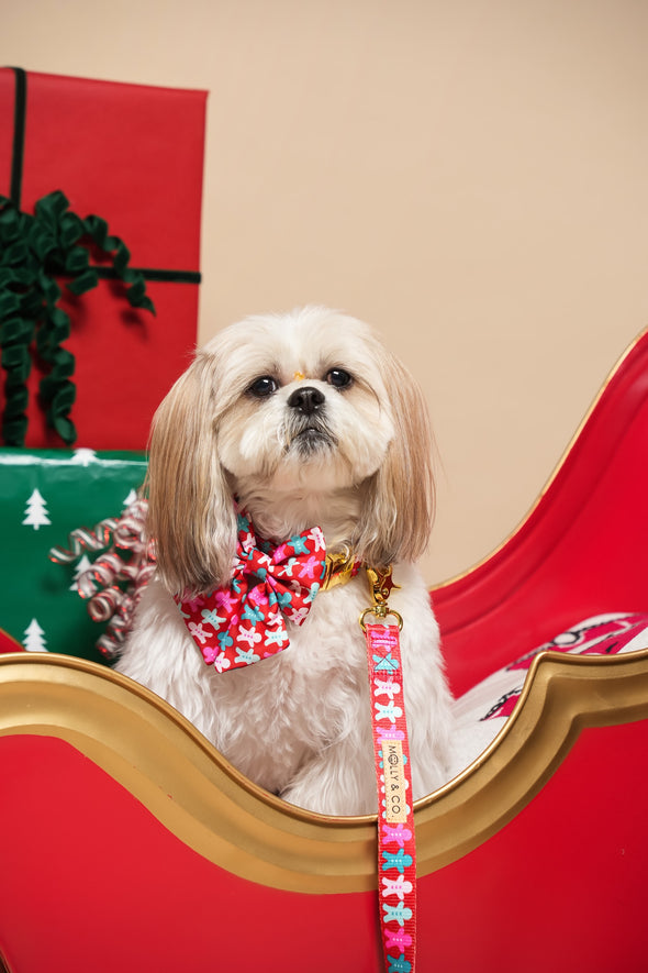 Gingerbread - Dog Leash