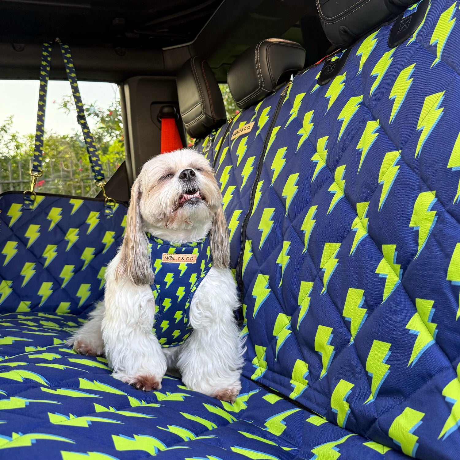 Bolt - Dog Car Seat Cover