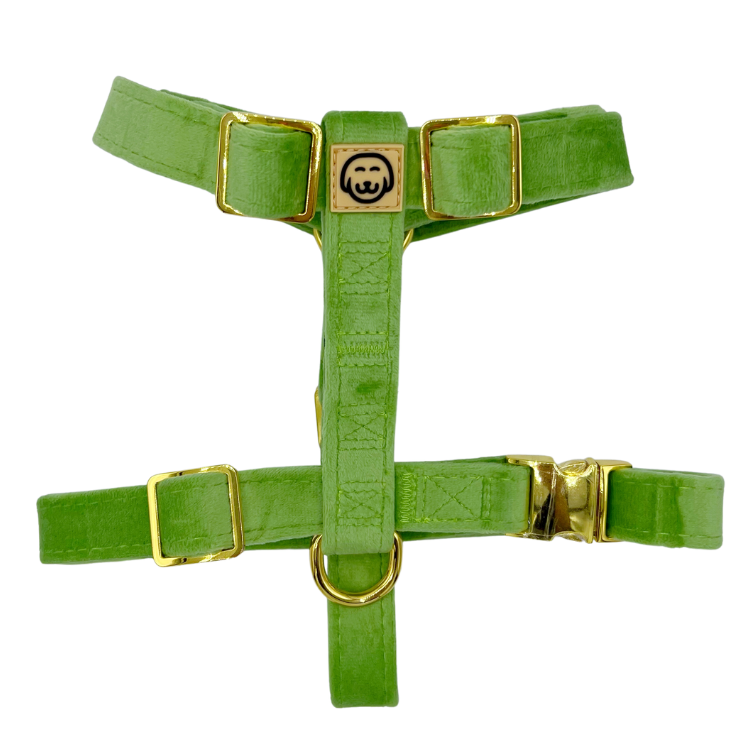 Fern Velvet - Adjustable Strap Dog Harness