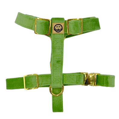 Fern Velvet - Adjustable Strap Dog Harness