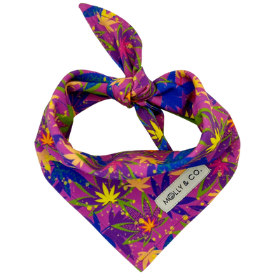 CannaPaws - Reversible Dog Bandana