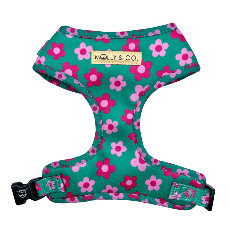 Petunia - Adjustable Dog Harness