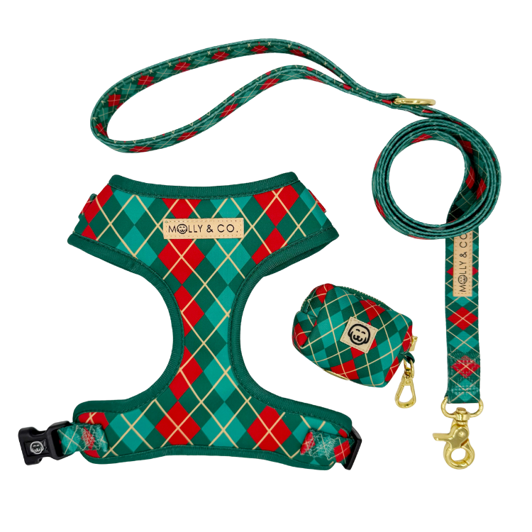 Evergreen Argyle - Walking Bundle