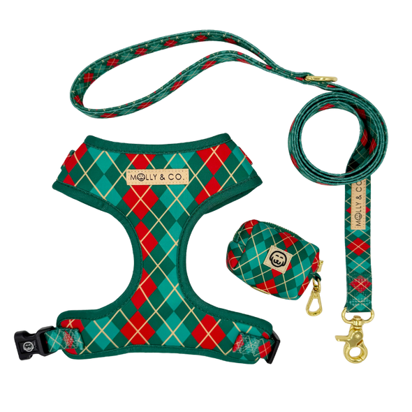 Evergreen Argyle - Walking Bundle