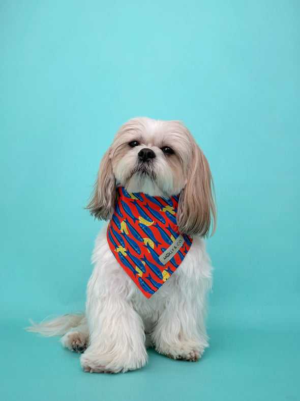 Mar Salato - Reversible Dog Bandana