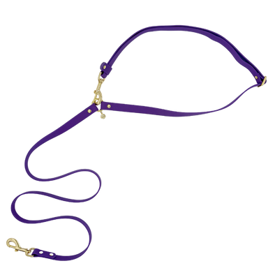 Purple Haze - Splashproof Handsfree Dog Leash