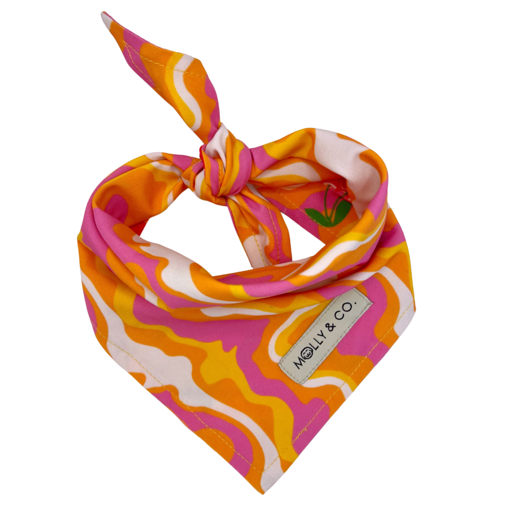 Sweet Cherry - Reversible Dog Bandana