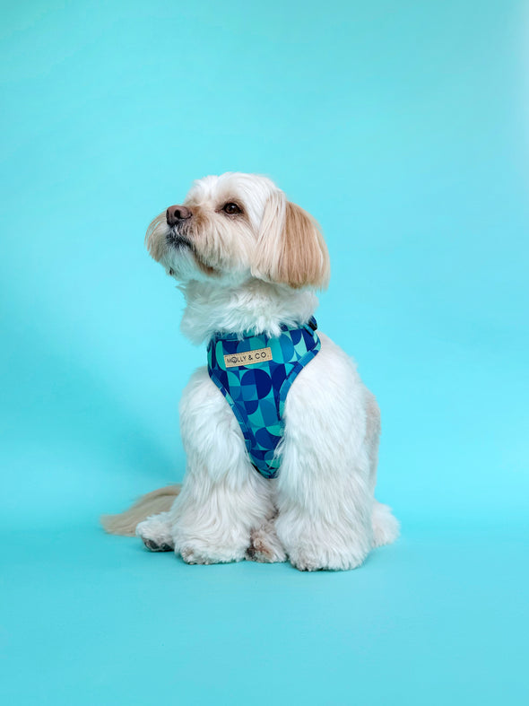 Milos - Adjustable Dog Harness