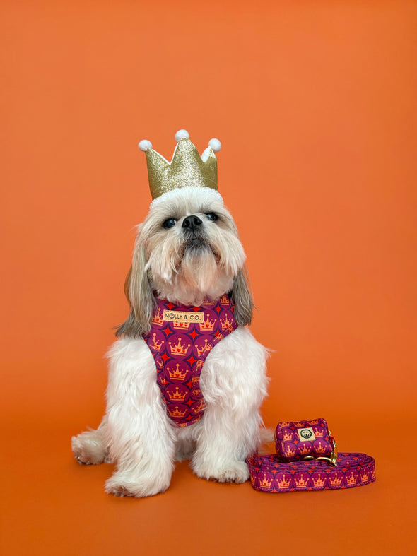 Royal Queen - Adjustable Dog Harness