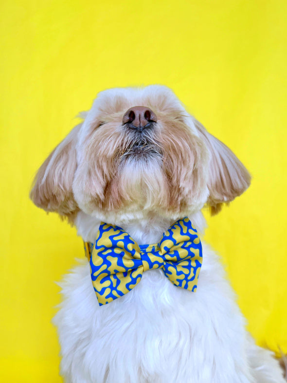 Neptune - Dog Bowtie