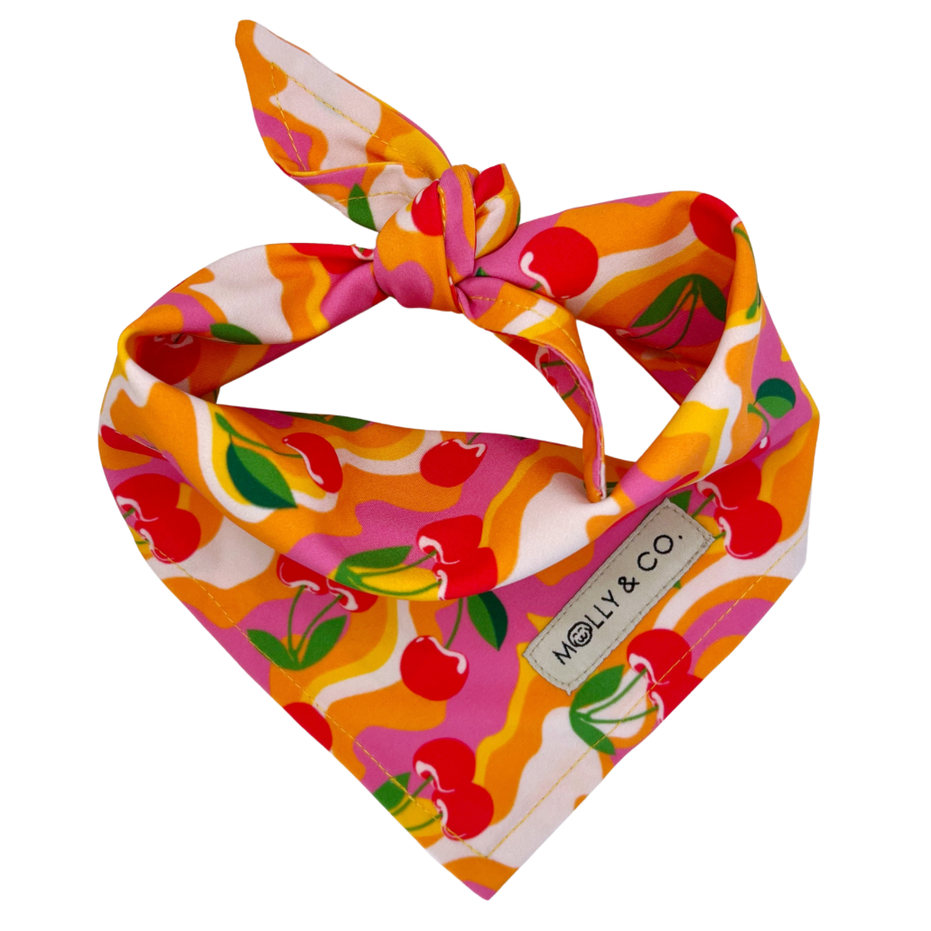 Sweet Cherry - Reversible Dog Bandana