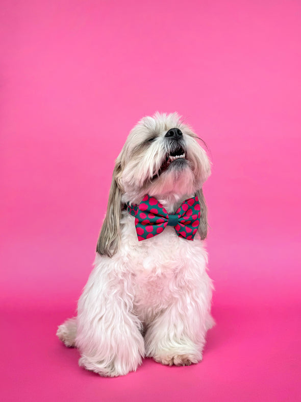 Polka Dogz - Dog Bowtie